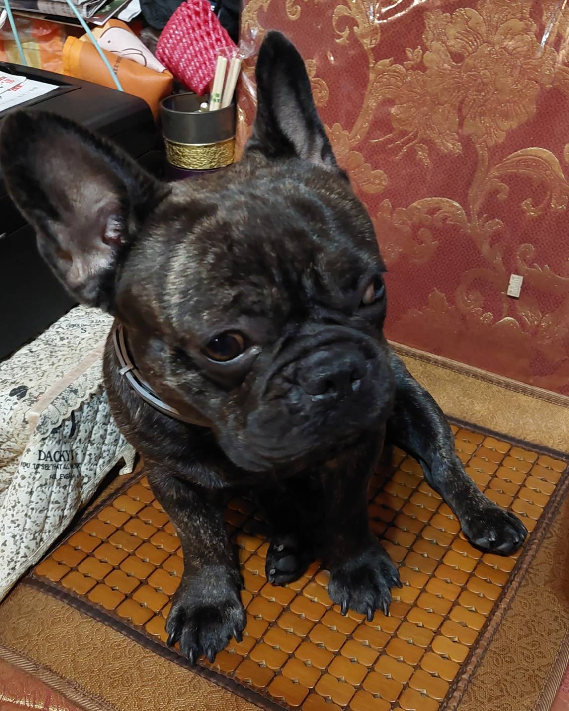 Markdown 的初步編寫